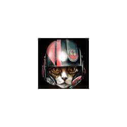 CATS  WARS  TAZA DE CAFE DE PORCELANA FINA