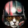 CATS  WARS  TAZA DE CAFE DE PORCELANA FINA