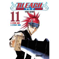 Bleach 11 - A Star and a Stray Dog