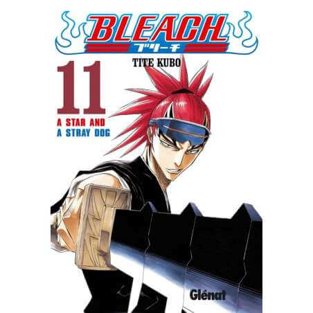 Bleach 11 - A Star and a Stray Dog