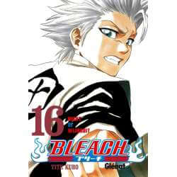 Bleach 16  Night of Wijnruit