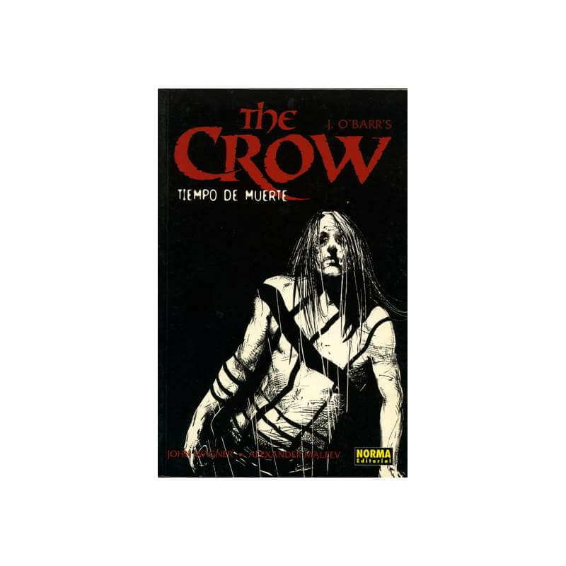 The Crow. Tiempo de muerte