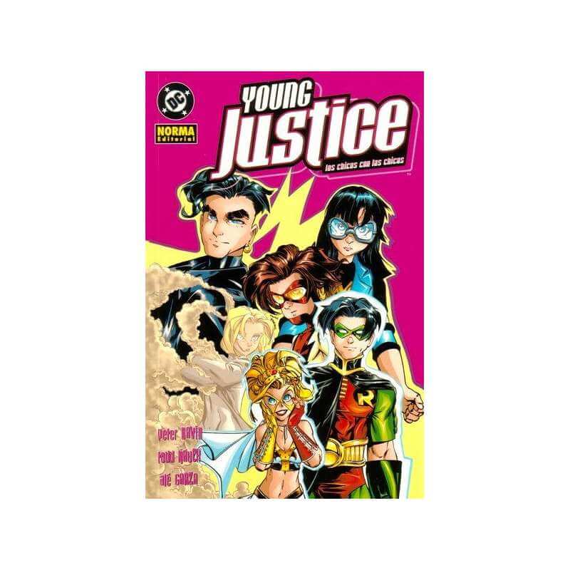 YOUNG JUSTICE los chicos con las chicas vol.02